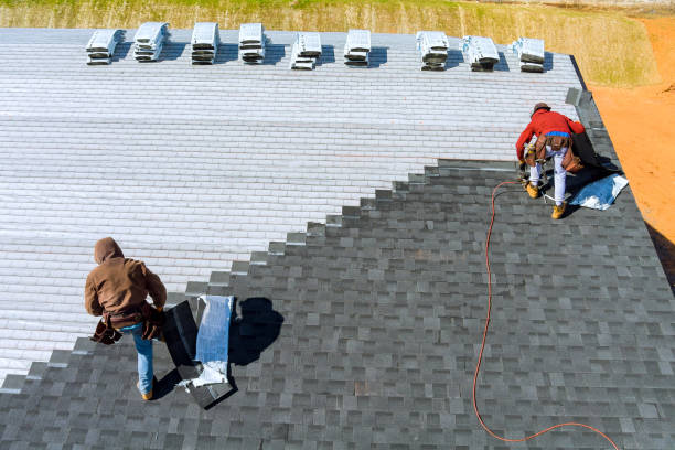 Best Storm Damage Roof Repair  in Somerdale, NJ